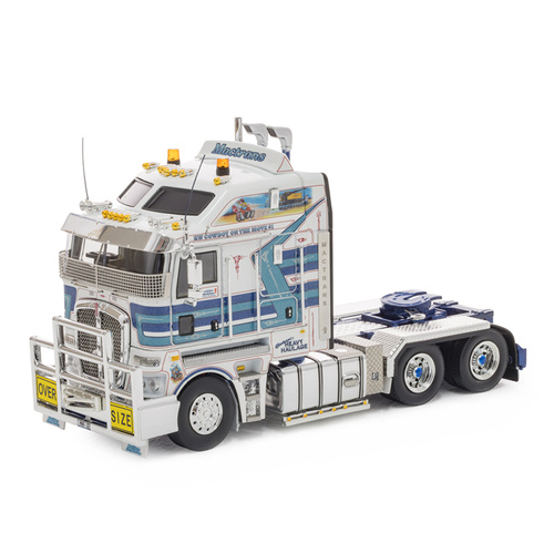 Blue Information Tags As Per TDT106TP Tear Proof Tags 100x Pack