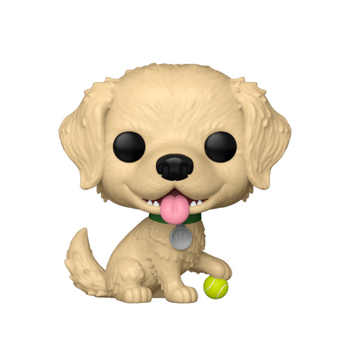 Blue Information Tags As Per TDT106TP Tear Proof Tags 100x Pack