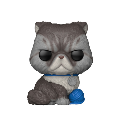 Blue Information Tags As Per TDT106TP Tear Proof Tags 100x Pack