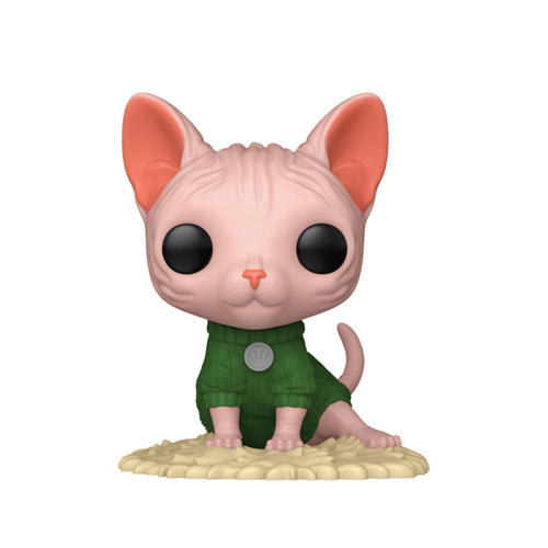 Blue Information Tags As Per TDT106TP Tear Proof Tags 100x Pack