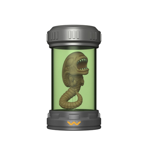 Blue Information Tags As Per TDT106TP Tear Proof Tags 100x Pack